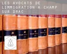 Les avocats de l'immigration à  Champ-sur-Drac