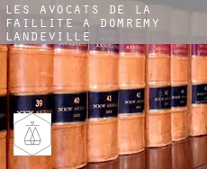Les avocats de la faillite à Domremy-Landéville