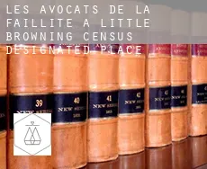 Les avocats de la faillite à  Little Browning