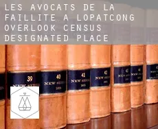 Les avocats de la faillite à Lopatcong Overlook