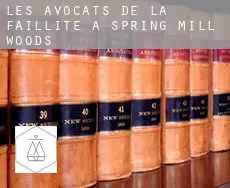 Les avocats de la faillite à Spring Mill Woods