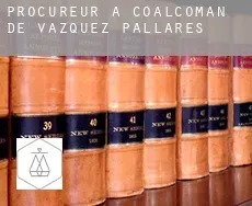 Procureur à Coalcoman de Vazquez Pallares