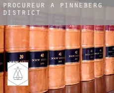 Procureur à  Pinneberg District