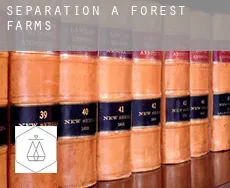 Séparation à Forest Farms