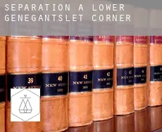 Séparation à  Lower Genegantslet Corner