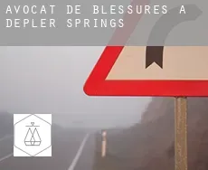 Avocat de blessures à  Depler Springs