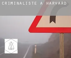 Criminaliste à  Harvard