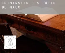 Criminaliste à  Puits de Maux
