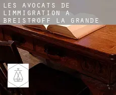 Les avocats de l'immigration à  Breistroff-la-Grande