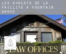 Les avocats de la faillite à  Fountain Grove