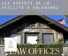 Les avocats de la faillite à Salenthal