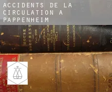 Accidents de la circulation à Pappenheim