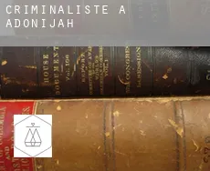 Criminaliste à  Adonijah