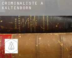 Criminaliste à  Kaltenborn