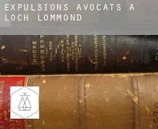 Expulsions avocats à  Loch Lommond