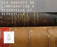 Les avocats de l'immigration à  Aisonville-et-Bernoville
