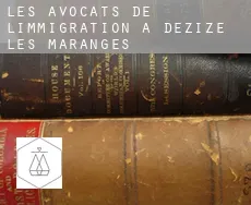 Les avocats de l'immigration à  Dezize-lès-Maranges