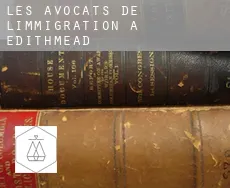 Les avocats de l'immigration à  Edithmead