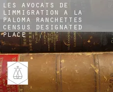 Les avocats de l'immigration à La Paloma Ranchettes