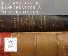Les avocats de l'immigration à  Siddinghausen