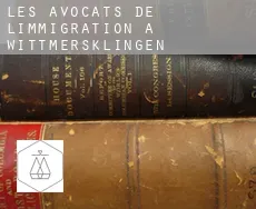 Les avocats de l'immigration à  Wittmersklingen