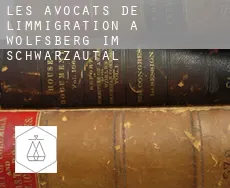 Les avocats de l'immigration à  Wolfsberg im Schwarzautal