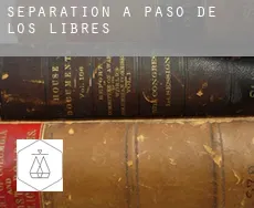 Séparation à Departamento de Paso de los Libres