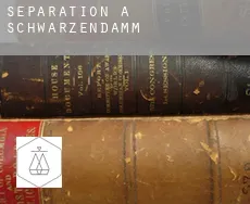 Séparation à Schwarzendamm