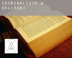 Criminaliste à  Kellandi