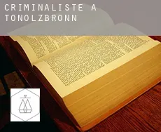 Criminaliste à  Tonolzbronn