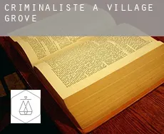 Criminaliste à  Village Grove