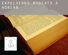Expulsions avocats à  Adrian