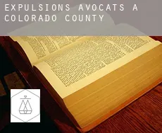 Expulsions avocats à  Colorado