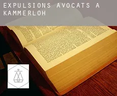 Expulsions avocats à  Kammerloh