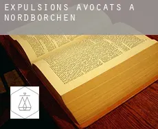 Expulsions avocats à Nordborchen