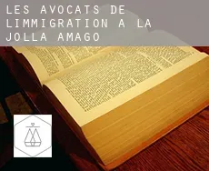 Les avocats de l'immigration à  La Jolla Amago