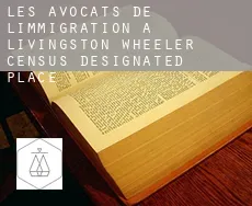 Les avocats de l'immigration à  Livingston Wheeler