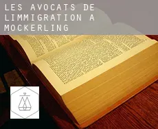 Les avocats de l'immigration à  Möckerling
