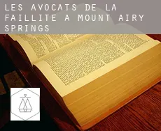 Les avocats de la faillite à  Mount Airy Springs