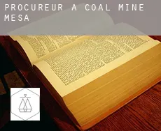 Procureur à  Coal Mine Mesa