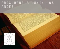 Procureur à  Junín de los Andes
