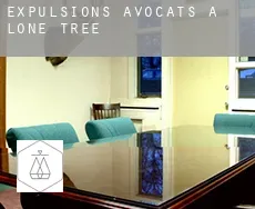 Expulsions avocats à  Lone Tree