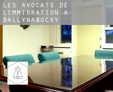 Les avocats de l'immigration à Ballynabucky