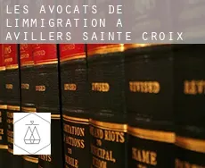 Les avocats de l'immigration à  Avillers-Sainte-Croix
