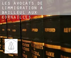 Les avocats de l'immigration à  Bailleul-aux-Cornailles