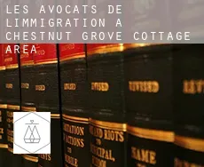 Les avocats de l'immigration à  Chestnut Grove Cottage Area