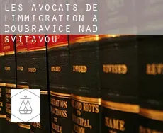Les avocats de l'immigration à Doubravice nad Svitavou