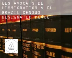 Les avocats de l'immigration à El Brazil