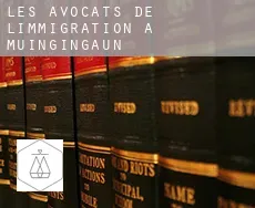 Les avocats de l'immigration à  Muingingaun