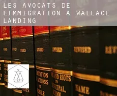 Les avocats de l'immigration à Wallace Landing